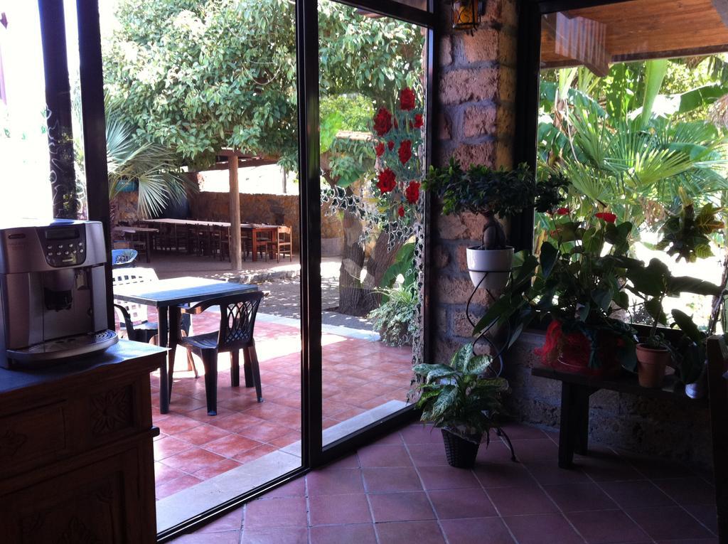Agriturismo Agave Fertilia Ngoại thất bức ảnh