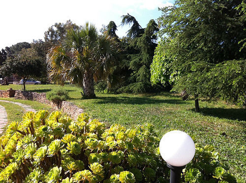 Agriturismo Agave Fertilia Ngoại thất bức ảnh