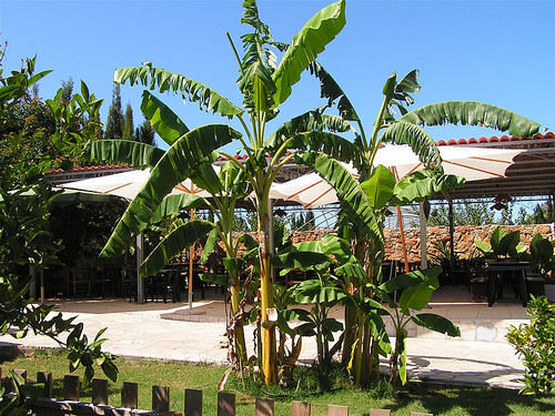 Agriturismo Agave Fertilia Ngoại thất bức ảnh